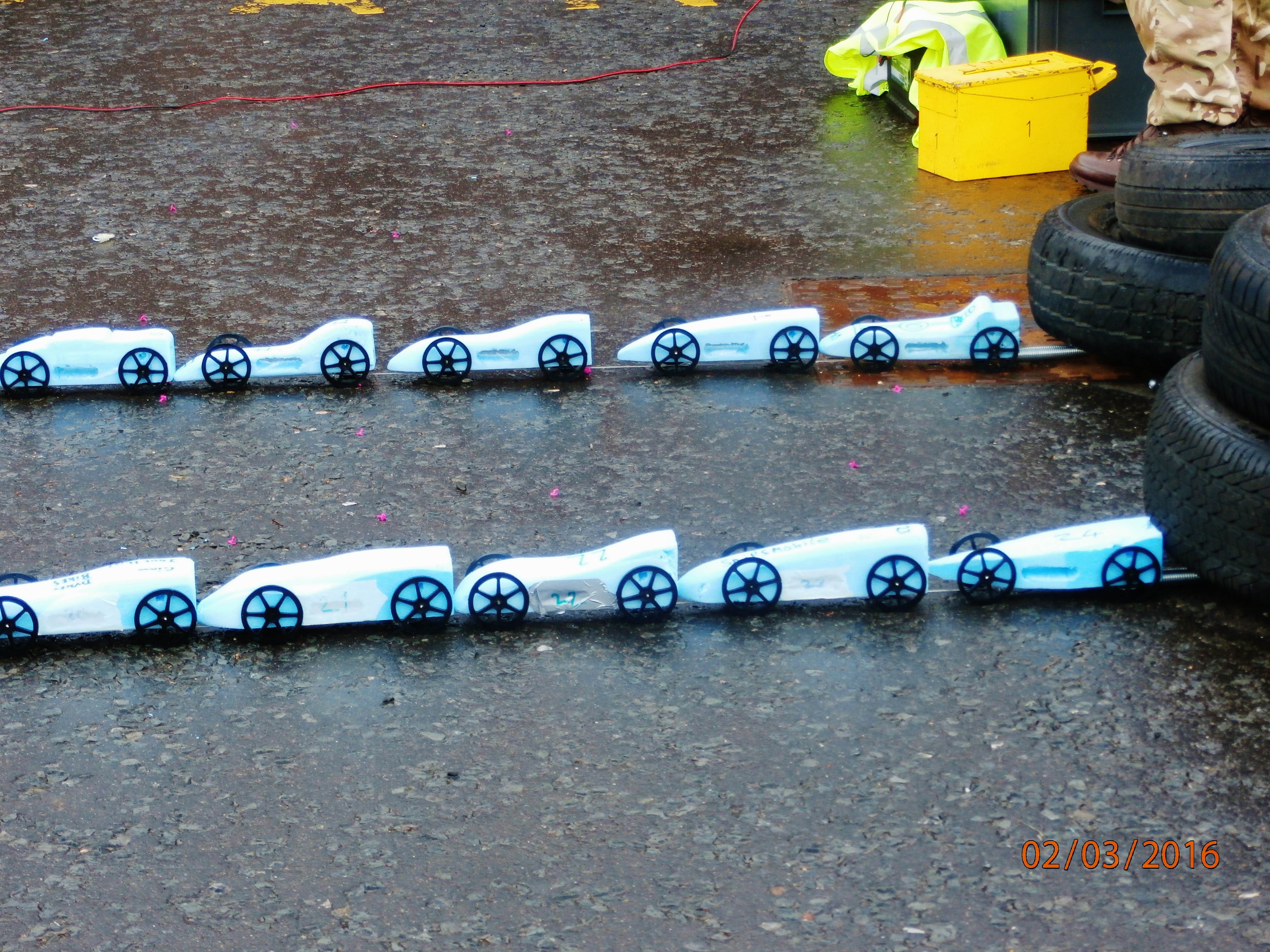 http://img.edinburghcollege.ac.uk/News/bloodhound2.jpg