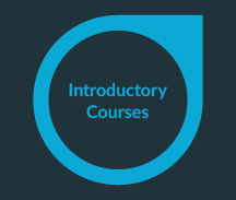 Introductory-Courses